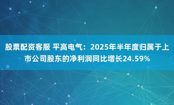 股票配资客服 平高电气：2025年半年度归属于上市公司股东的净利润同比增长24.59%