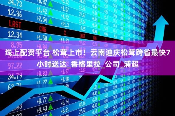 线上配资平台 松茸上市！云南迪庆松茸跨省最快7小时送达_香格里拉_公司_浦超