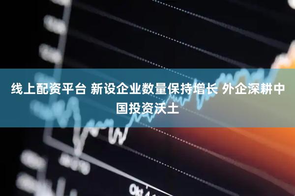 线上配资平台 新设企业数量保持增长 外企深耕中国投资沃土