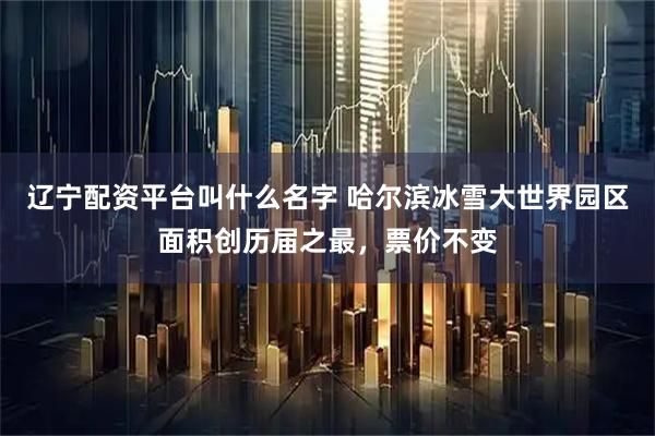 辽宁配资平台叫什么名字 哈尔滨冰雪大世界园区面积创历届之最，票价不变